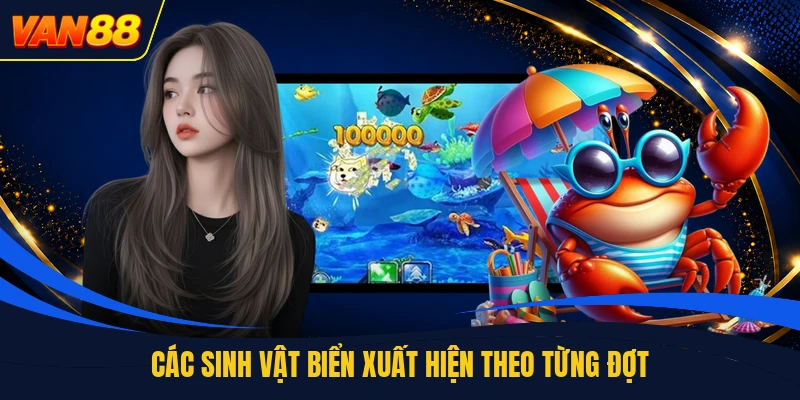 Các sinh vật biển xuất hiện theo từng đợt