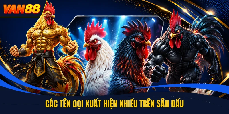 Các tên gọi xuất hiện nhiều trên sân đấu