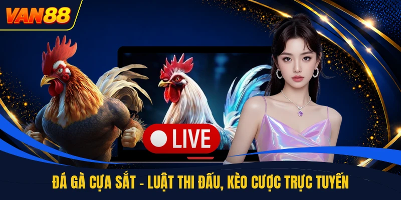 Đá Gà Cựa Sắt - Luật Thi Đấu, Kèo Cược Trực Tuyến