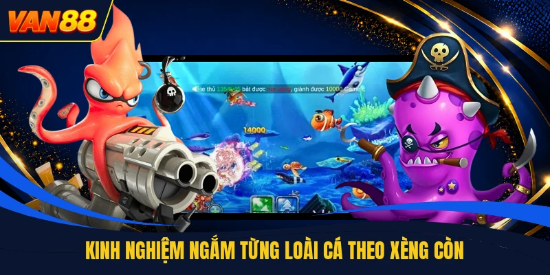 Kinh nghiệm ngắm từng loài cá theo xèng còn