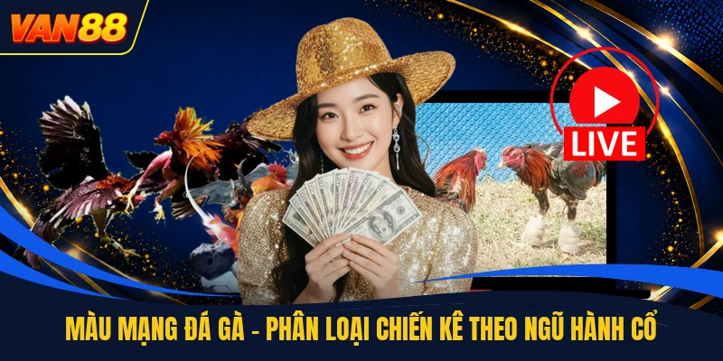 Màu Mạng Đá Gà - Phân Loại Chiến Kê Theo Ngũ Hành Cổ