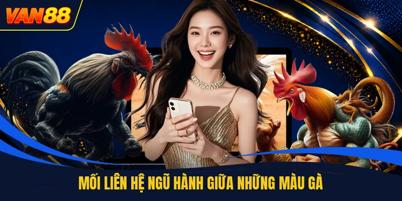 Mối liên hệ ngũ hành giữa những màu gà