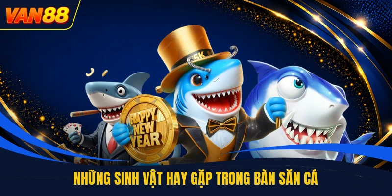 Những sinh vật hay gặp trong bàn săn cá