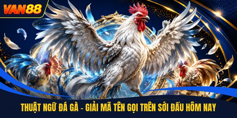 Thuật Ngữ Đá Gà - Giải Mã Tên Gọi Trên Sới Đấu Hôm Nay