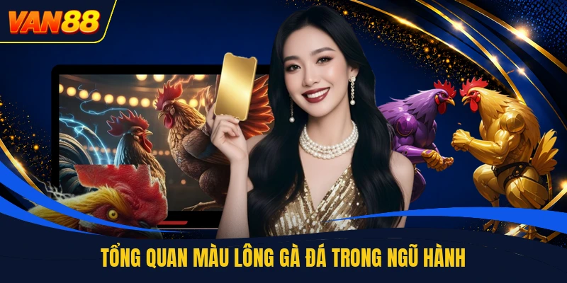 Tổng quan màu lông gà đá trong ngũ hành